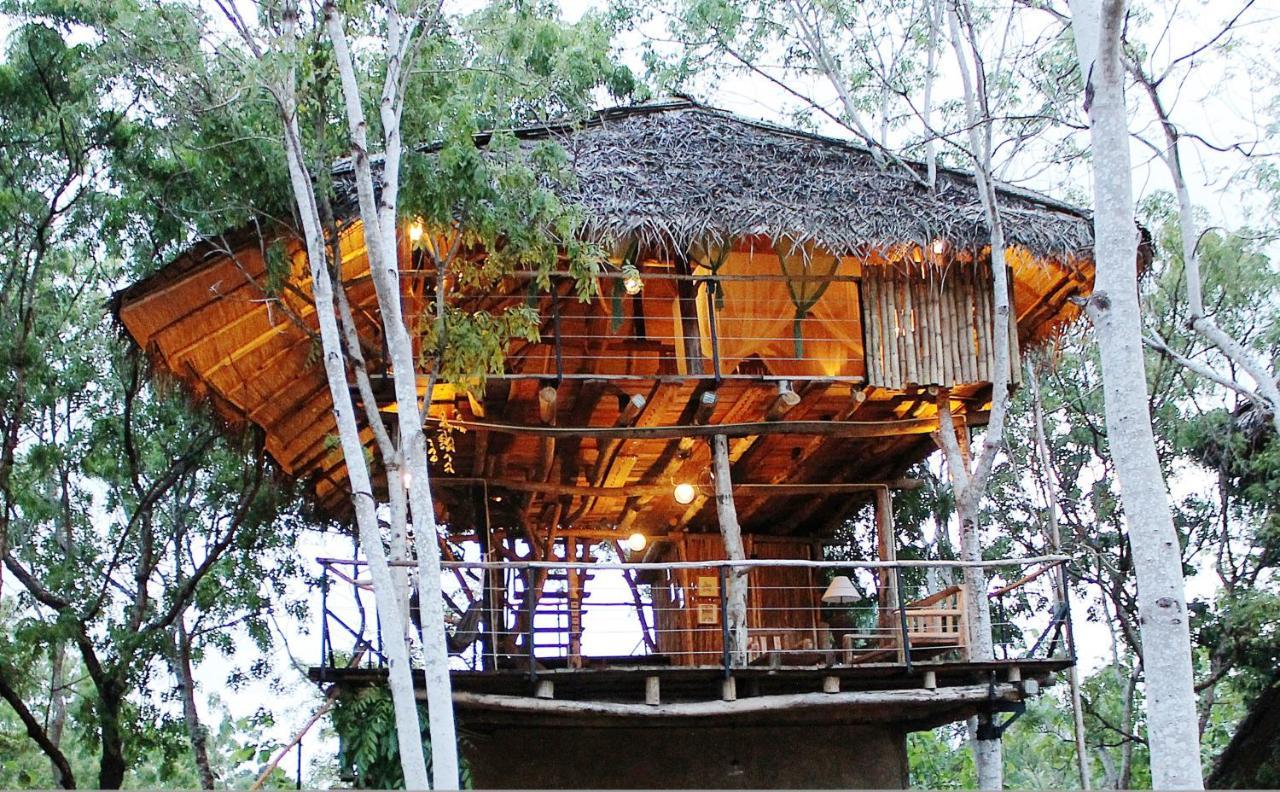 The Saraii Tree Lodge ティッサマハーラーマ エクステリア 写真